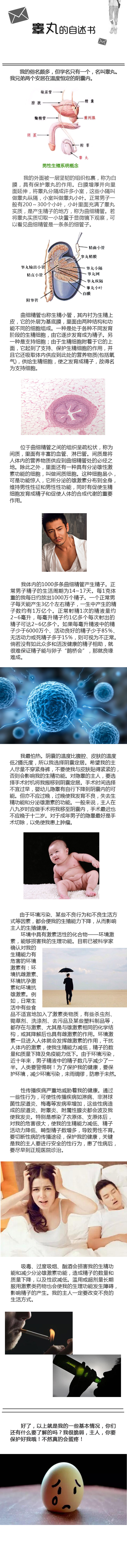 HL0701睾丸的自述书.jpg