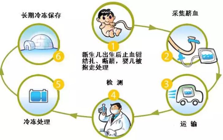 造血干细胞移植2.jpg