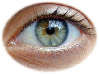 压迫眼球会引起死亡