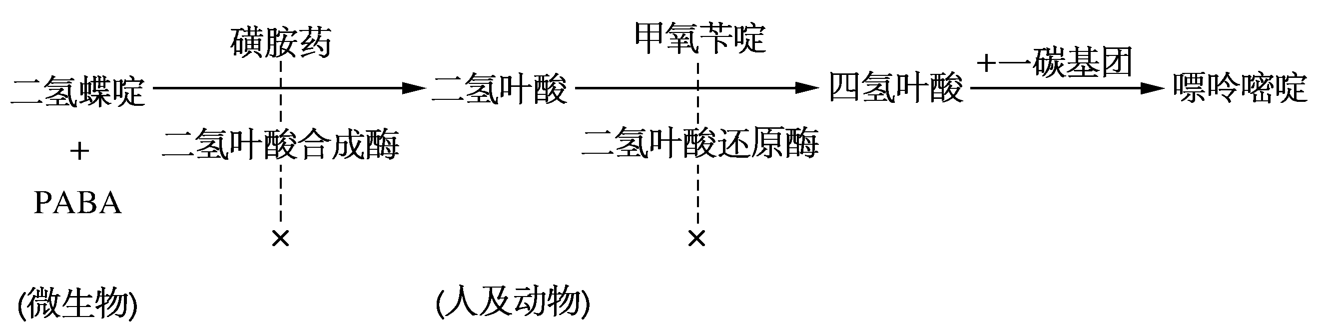 甲氧苄啶结构式图片