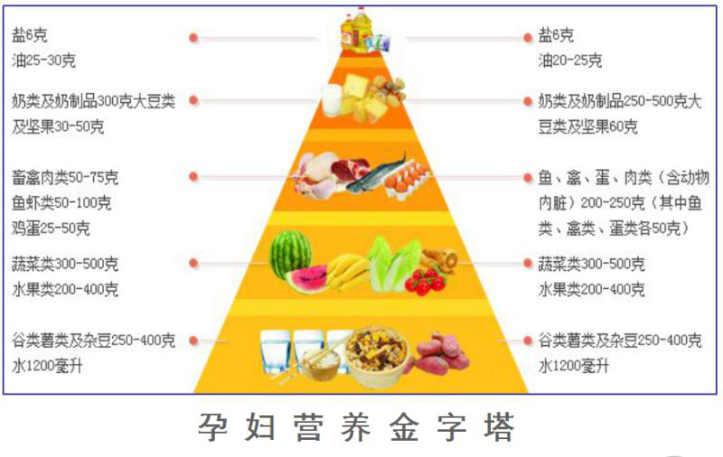 营养金字塔标准图片