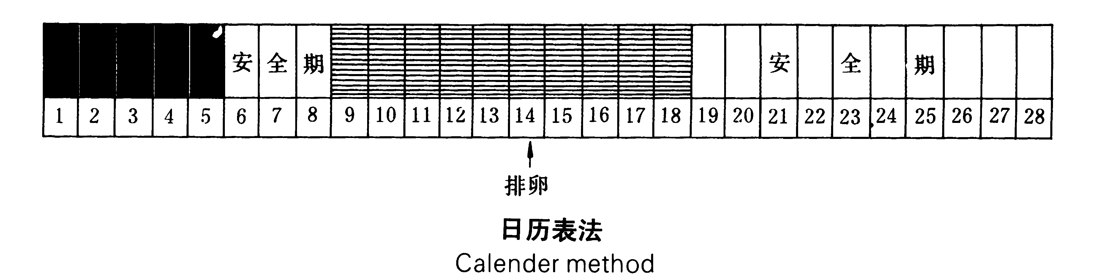 日历表法.png
