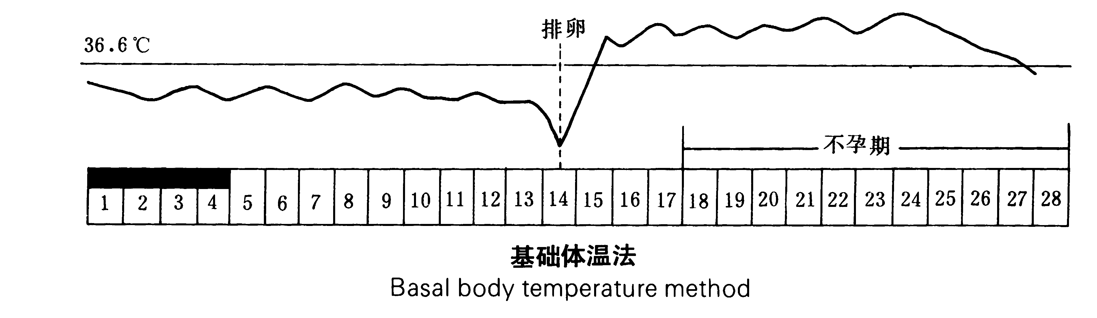 把每天测量到的基础体温记录在一张体温记录单上,并连成曲线,就可以