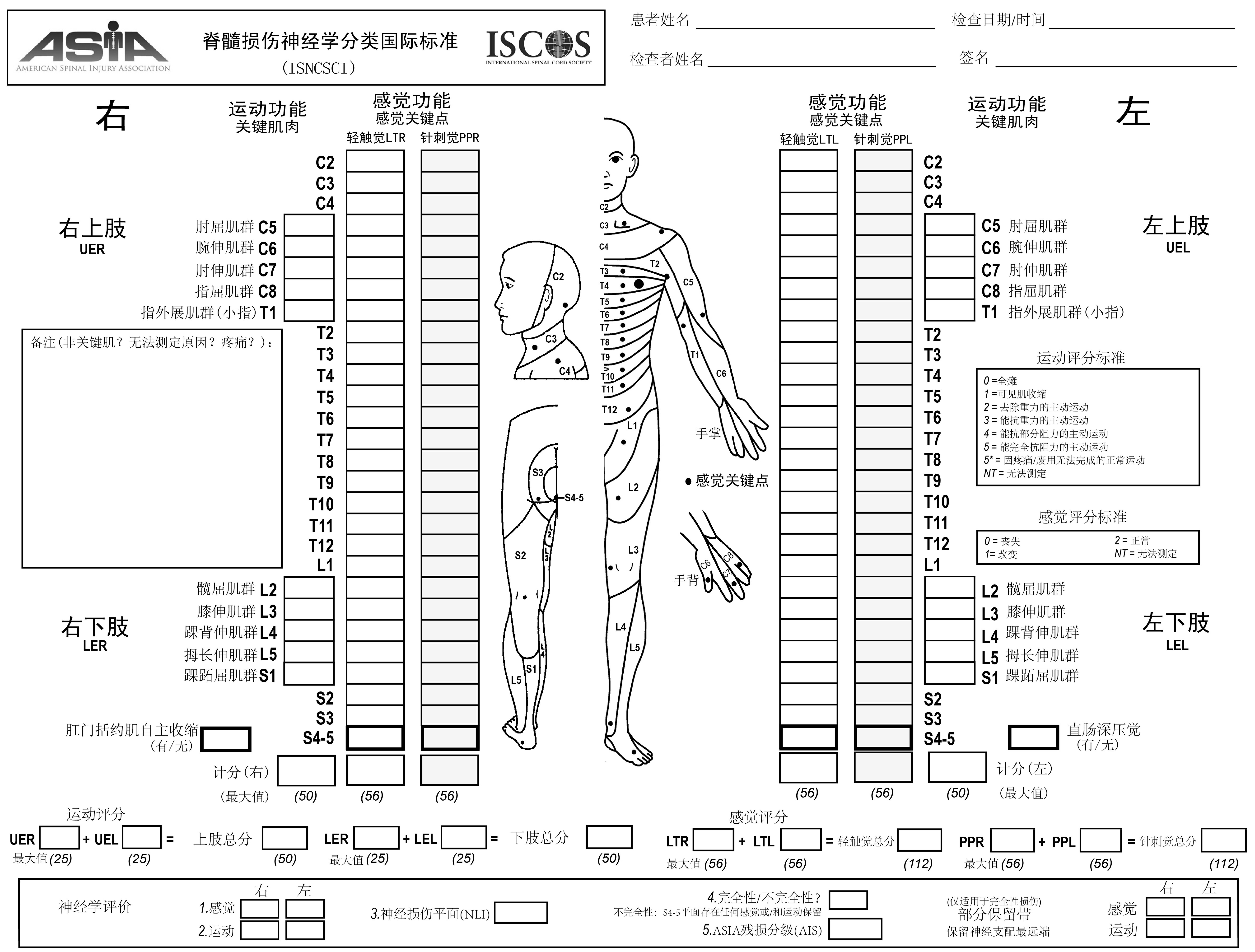 脊髓损伤评定量表图片图片